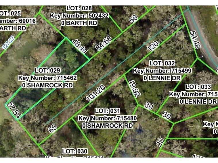 Shamrock Road Dade City FL 33523 W7879509 image1