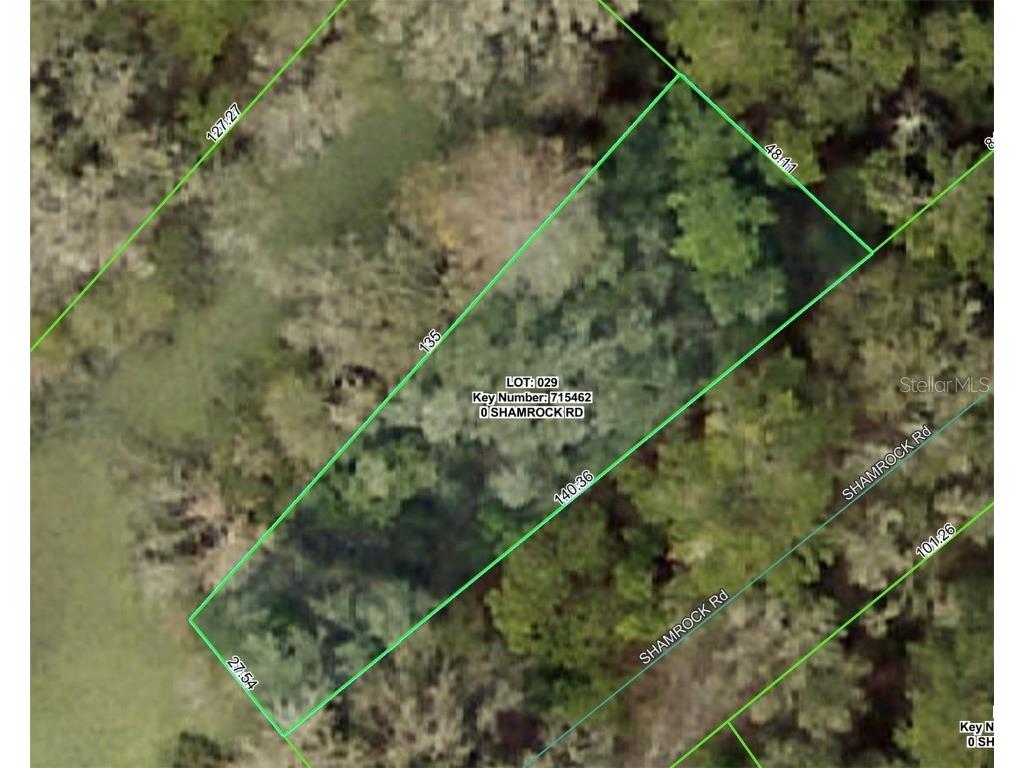 Shamrock Road Dade City FL 33523 W7879509 image2