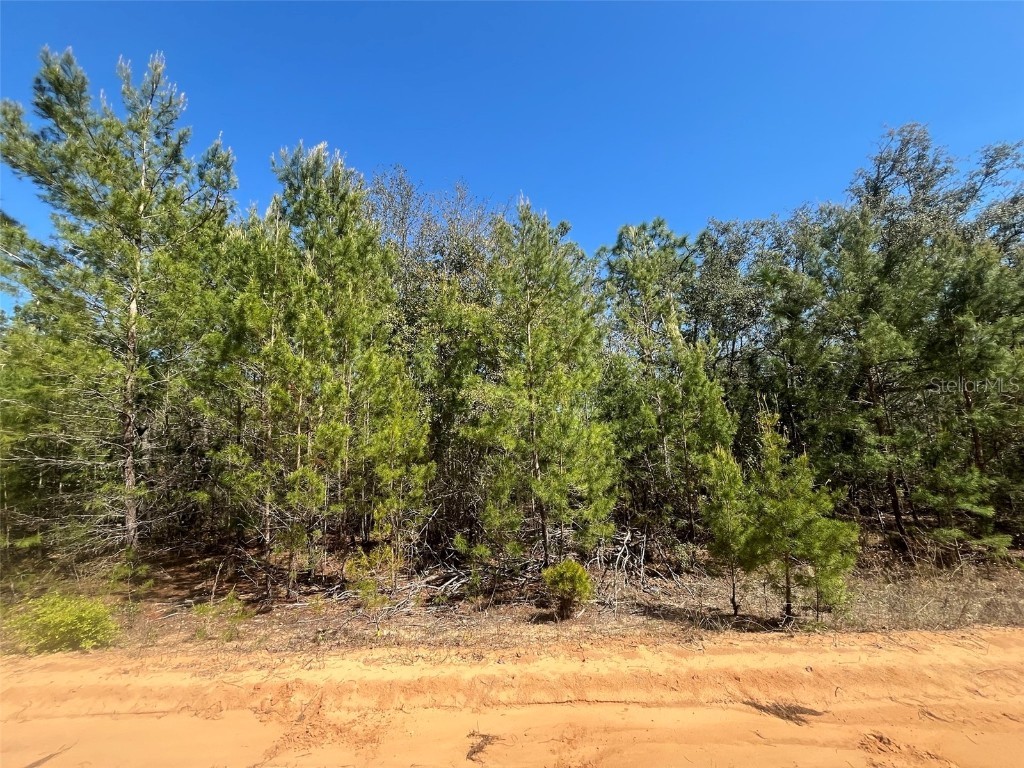 Shappell Ave Interlachen FL 32148 OK225015 image1