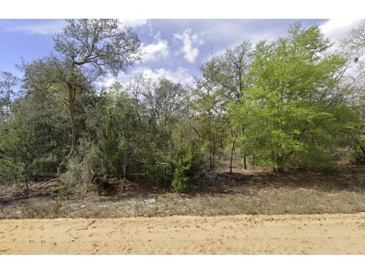 Shappell Ave Interlachen FL 32148 OK225015 image10