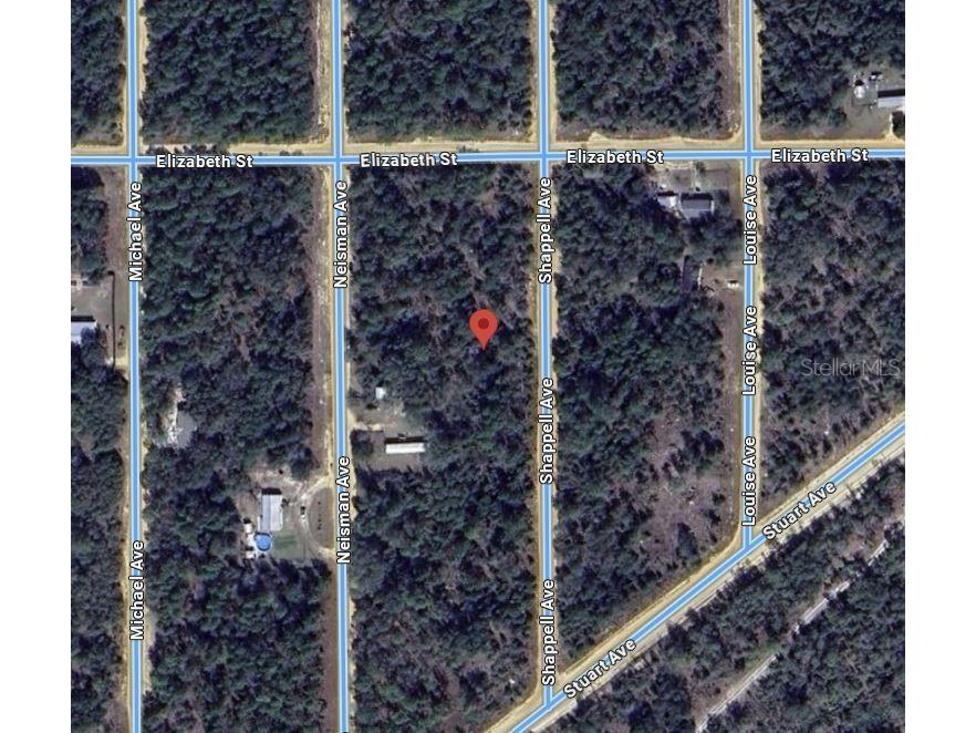 Shappell Ave Interlachen FL 32148 OK225015 image11