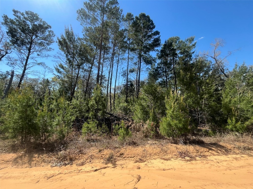 Shappell Ave Interlachen FL 32148 OK225015 image4