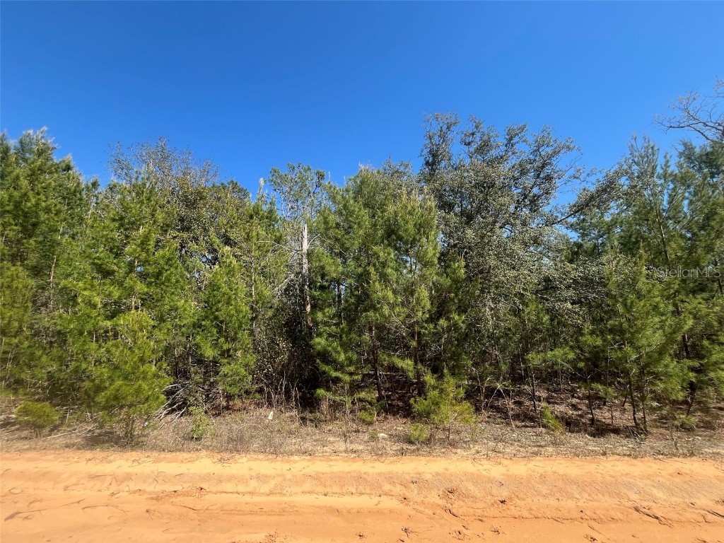 Shappell Ave Interlachen FL 32148 OK225015 image5