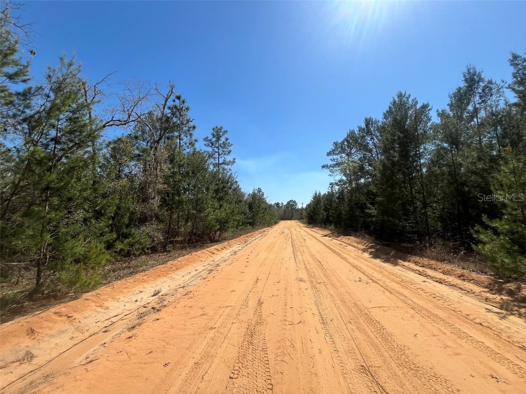 Shappell Ave Interlachen FL 32148 OK225015 image7