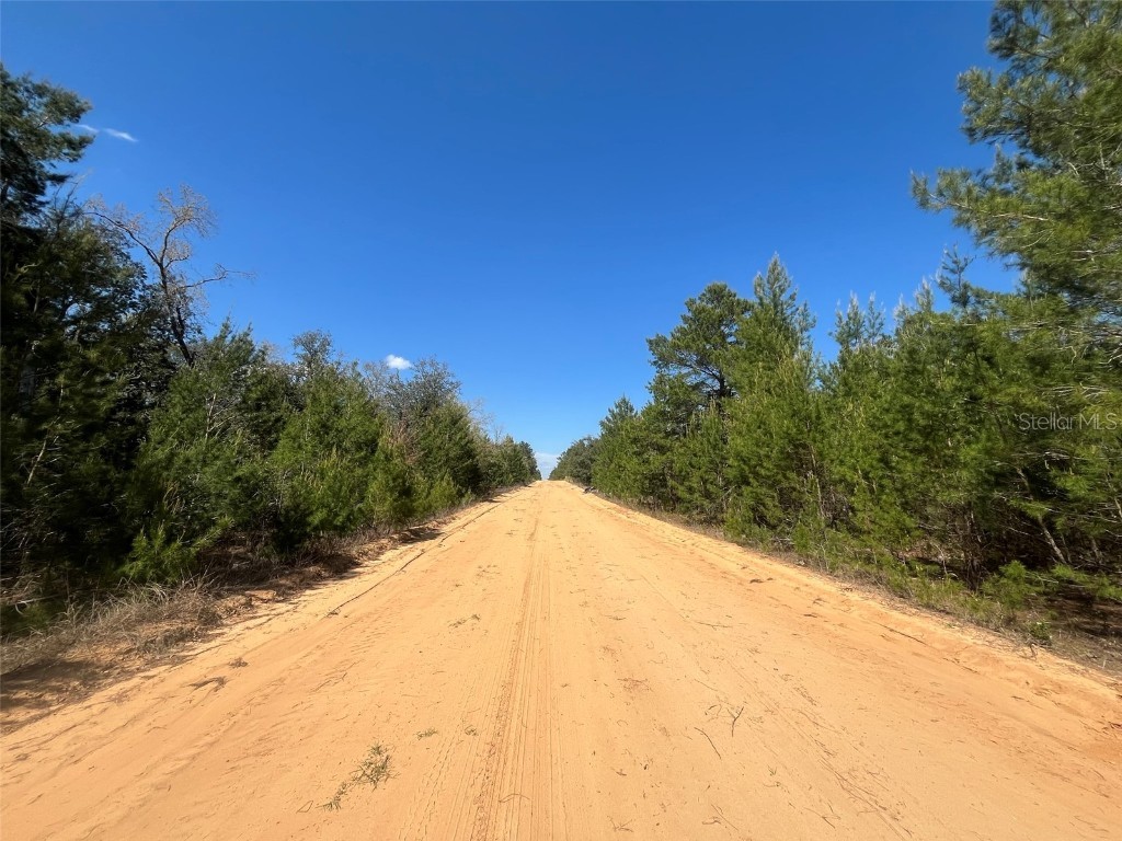 Shappell Ave Interlachen FL 32148 OK225015 image8