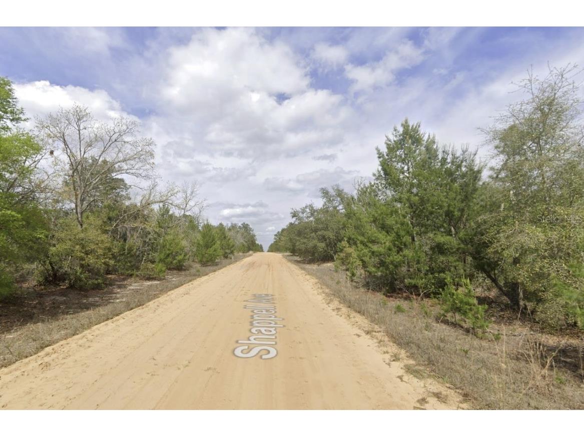 Shappell Ave Interlachen FL 32148 OK225015 image9