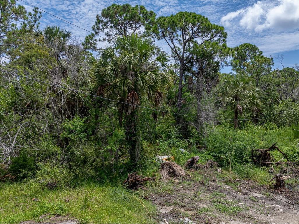 Shark Street Hudson FL 34667 O6227773 image1