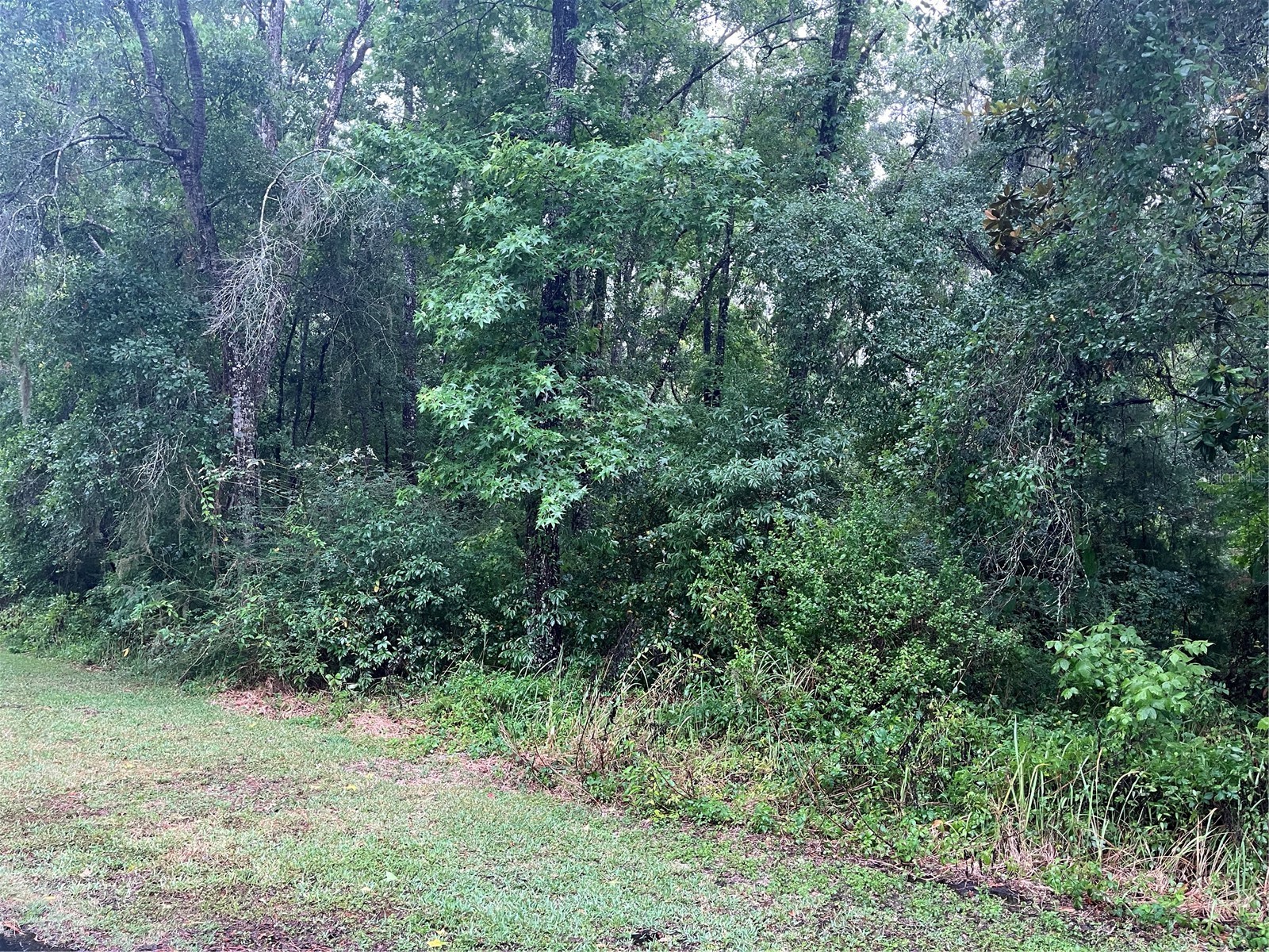 Sharon Street Brooksville FL 34601 G5107291 image1