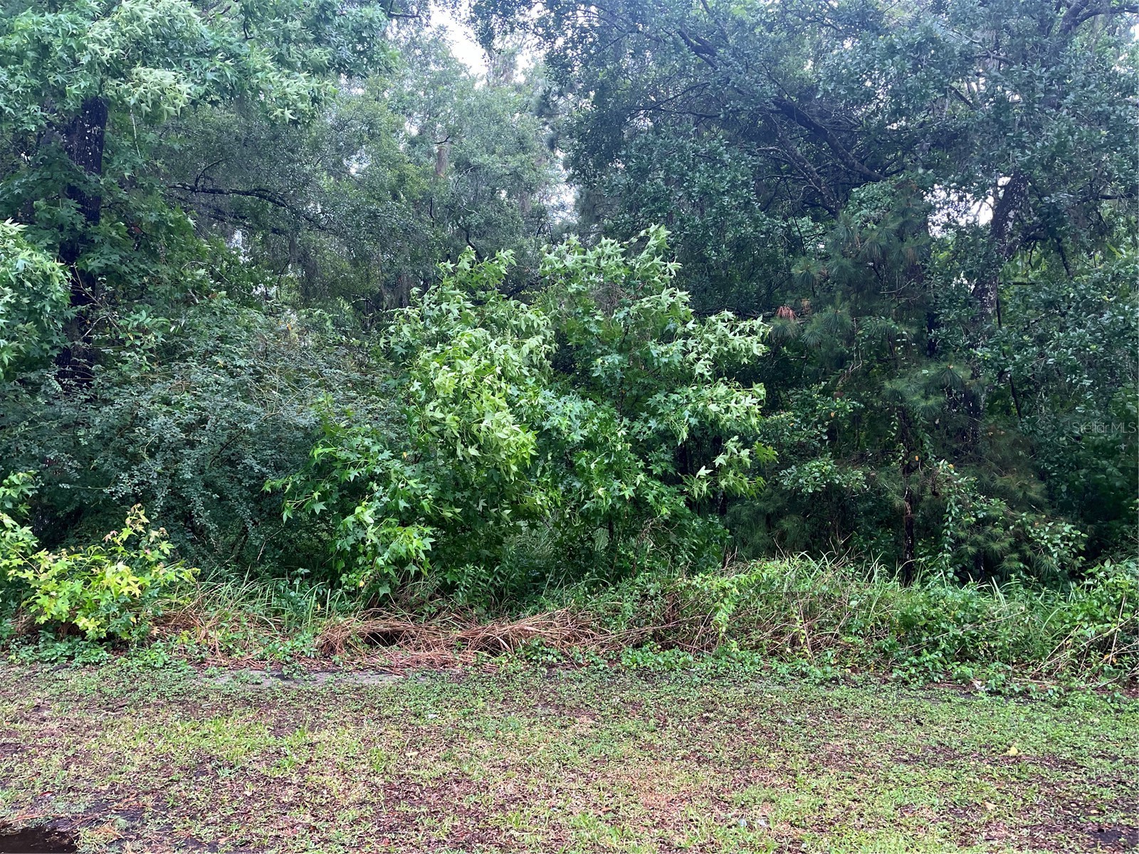 Sharon Street Brooksville FL 34601 G5107291 image2