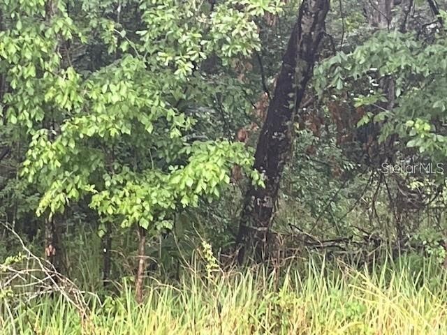 Sharon Street Brooksville FL 34601 G5107759 image1