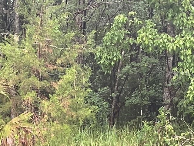 Sharon Street Brooksville FL 34601 G5107759 image2