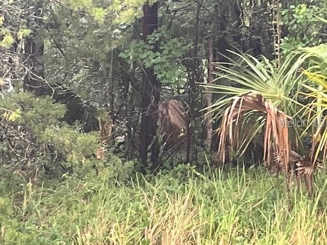 Sharon Street Brooksville FL 34601 G5107759 image3