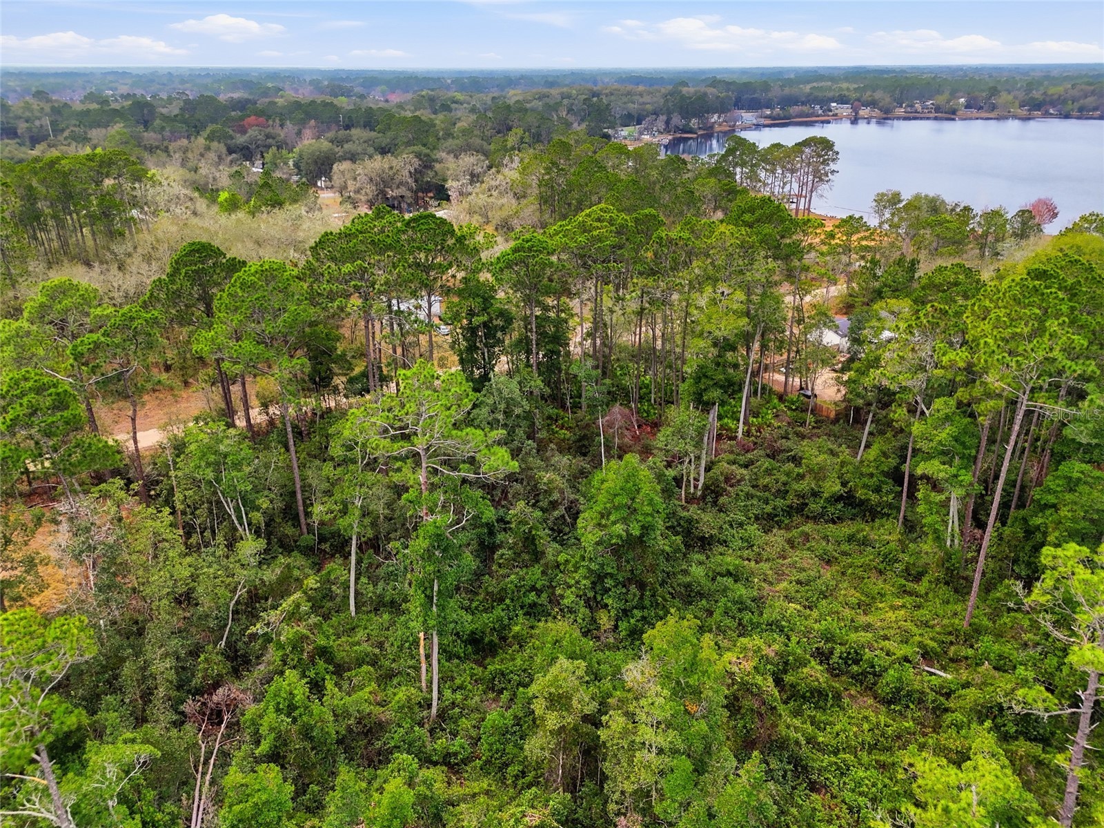Sharon Street Interlachen FL 32148 GC537875 image17