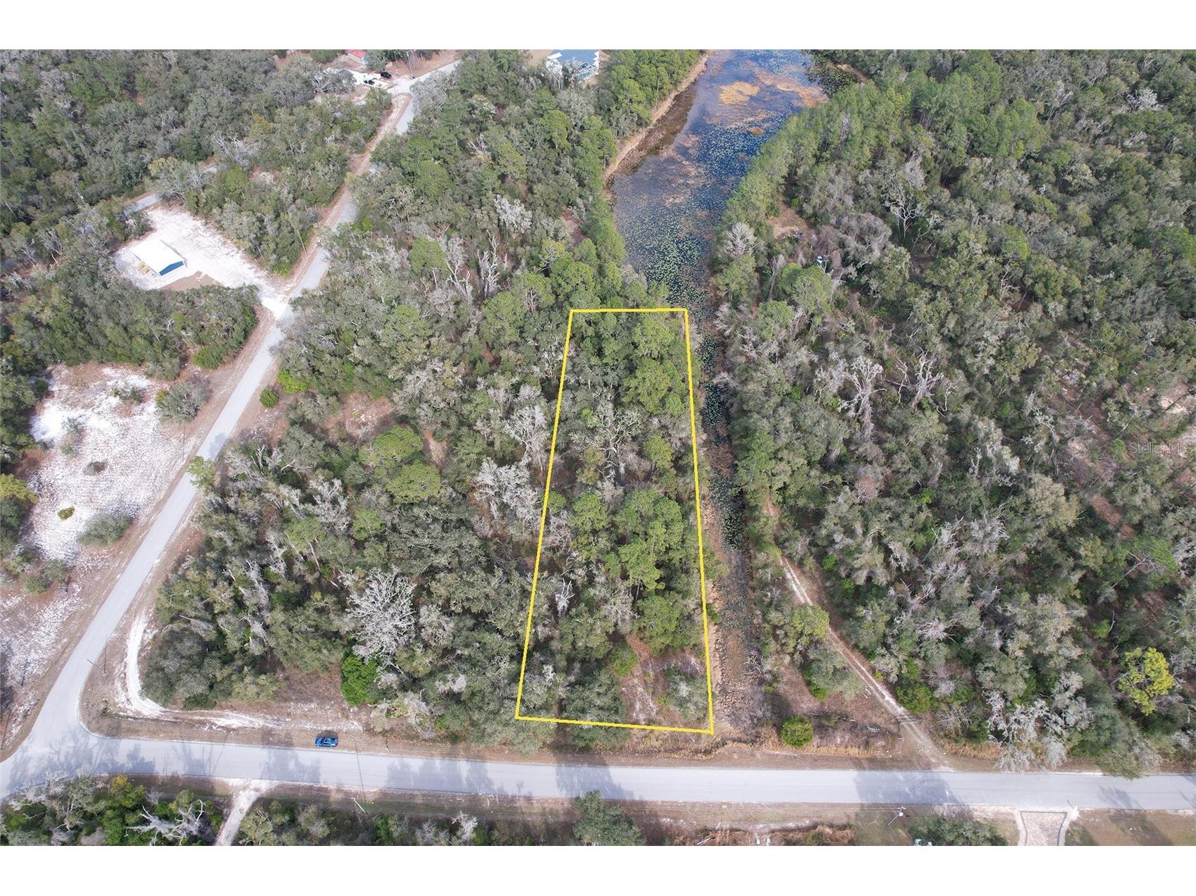 Sharon Webster FL 33597 TB8467809 image1