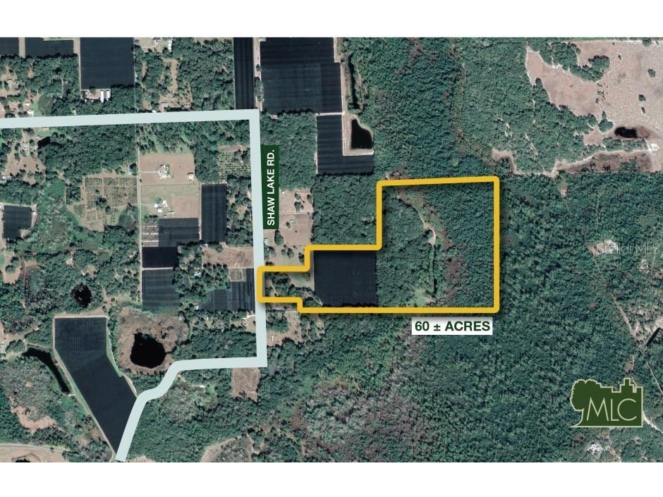 Shaw Lake Road Pierson FL 32180 V4946005 image2