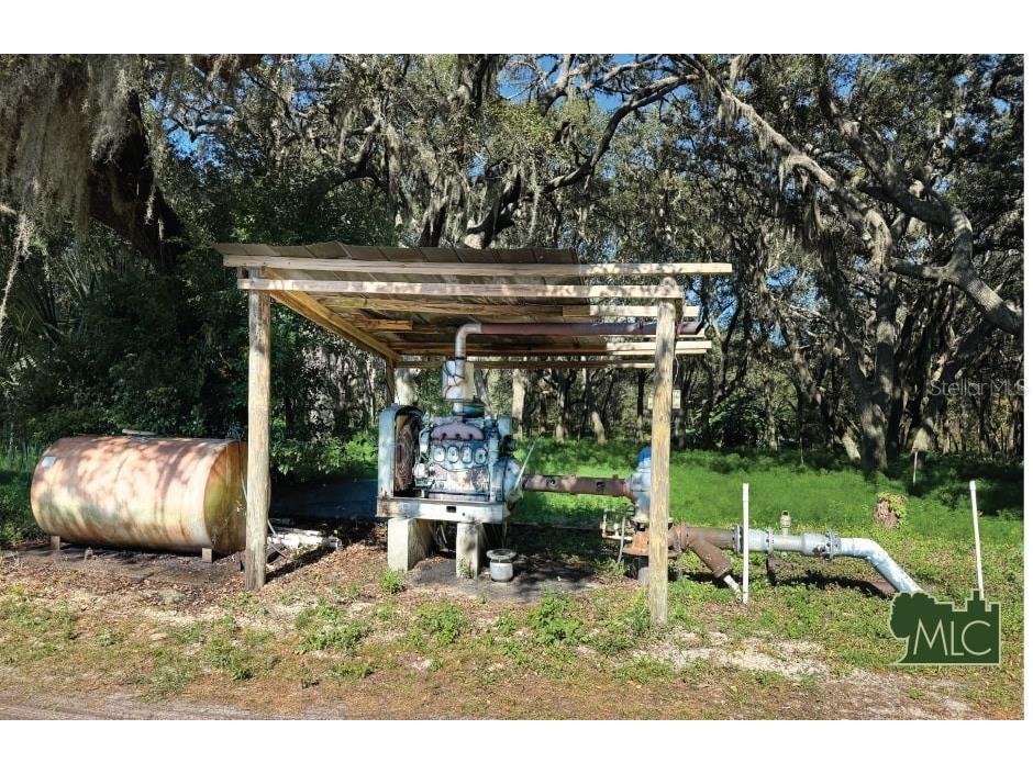 Shaw Lake Road Pierson FL 32180 V4946005 image4