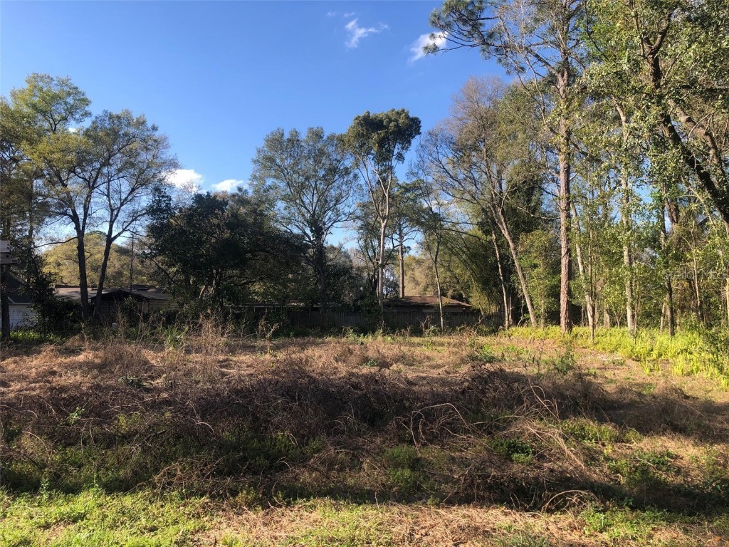 Shawnee Street Mount Plymouth FL 32776 G5065720 image1