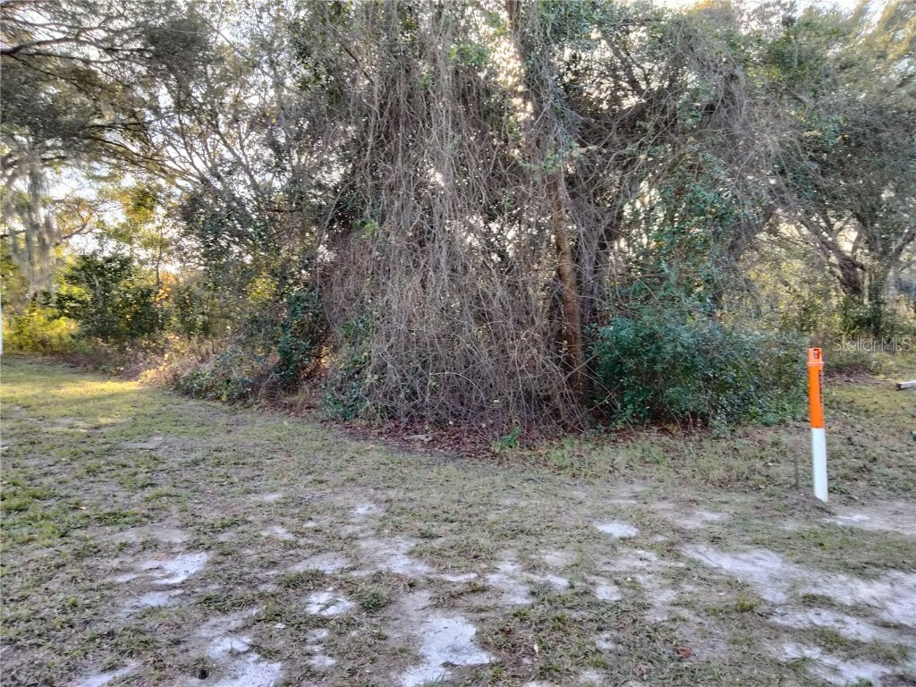 Sheeler Oaks Drive Apopka FL 32703 O6337662 image2