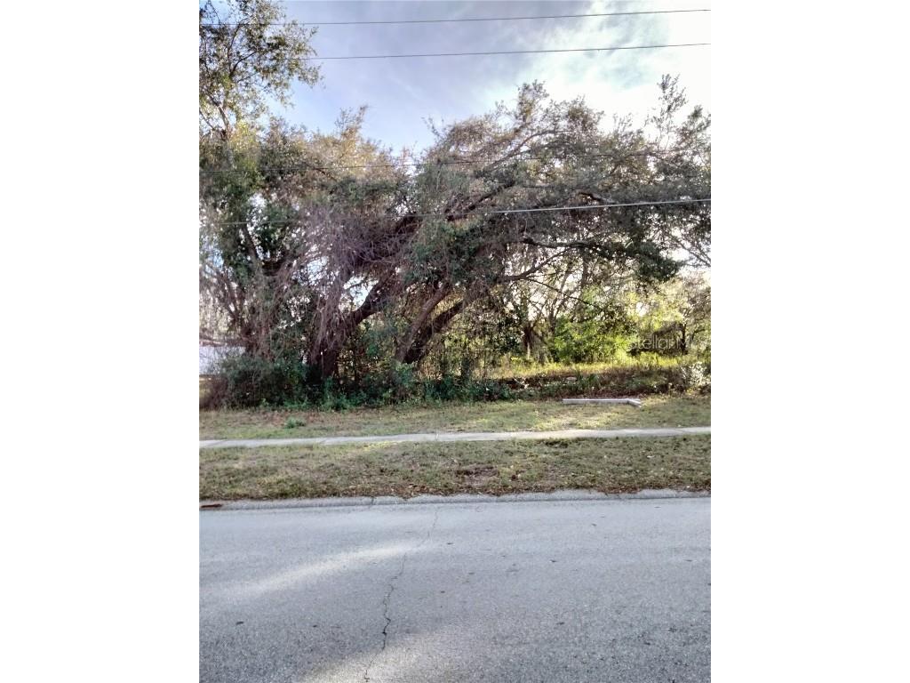 Sheeler Oaks Drive Apopka FL 32703 O6337662 image3