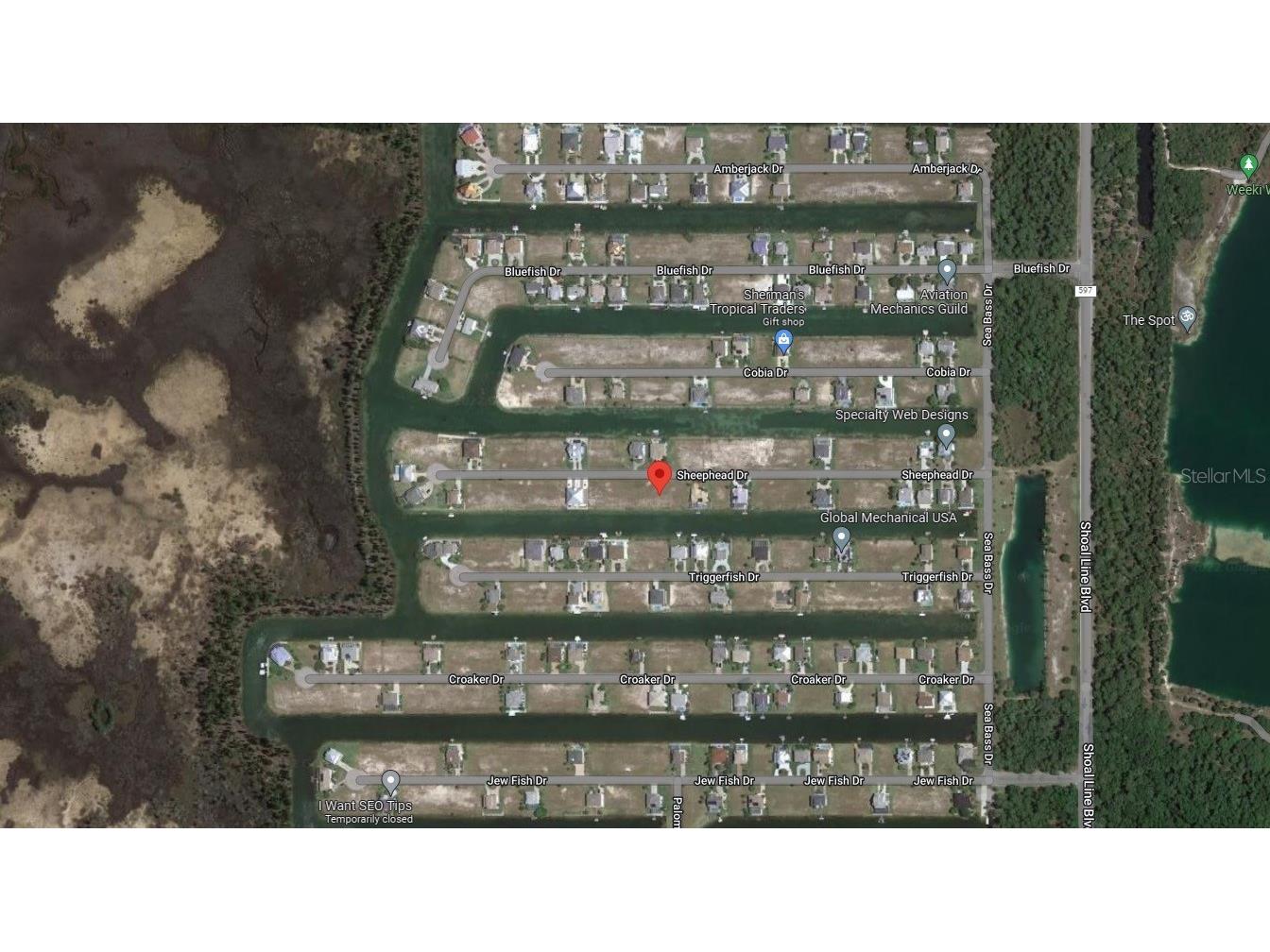 Sheephead Drive #LOT 40 Hernando Beach FL 34607 U8164665 image1