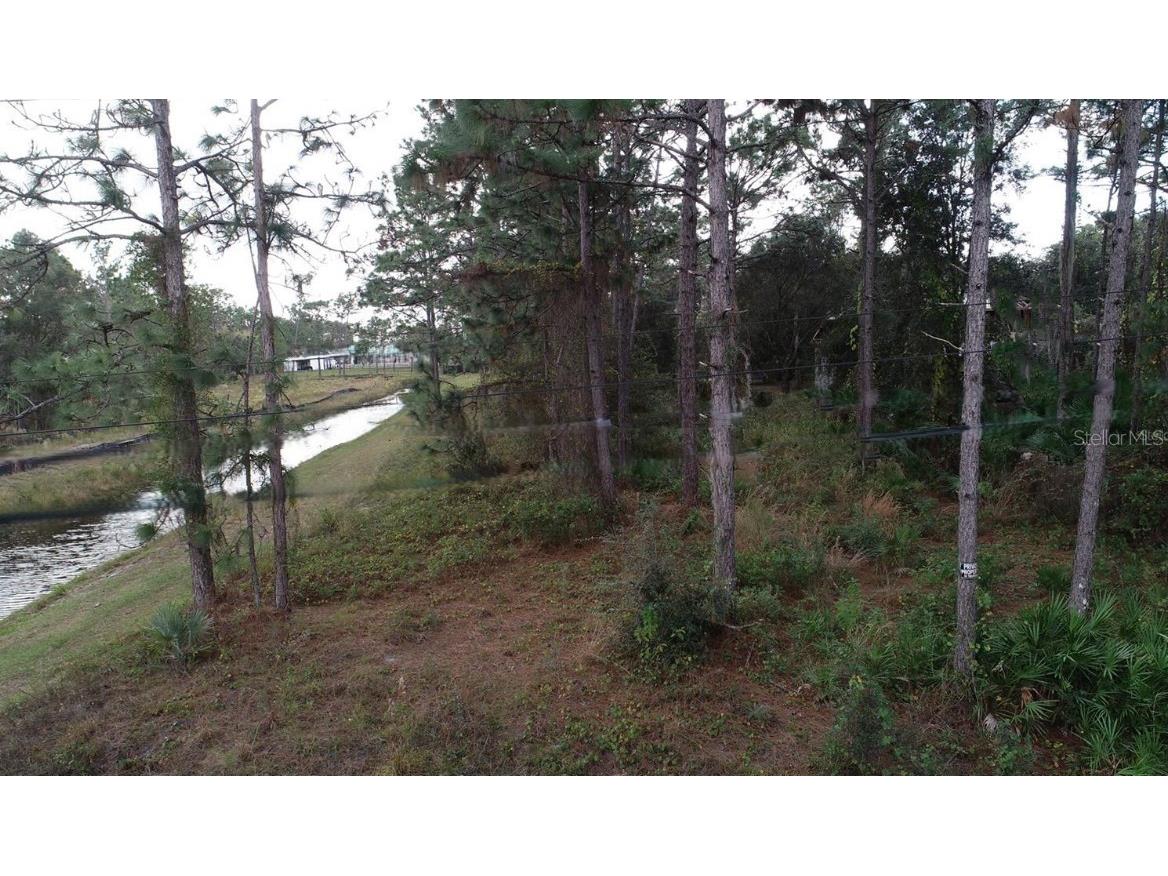 Sheldon Street Orlando FL 32833 O6381965 image2