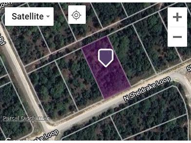 Sheldrake Loop Brooksville FL 34614 T3539296 image1