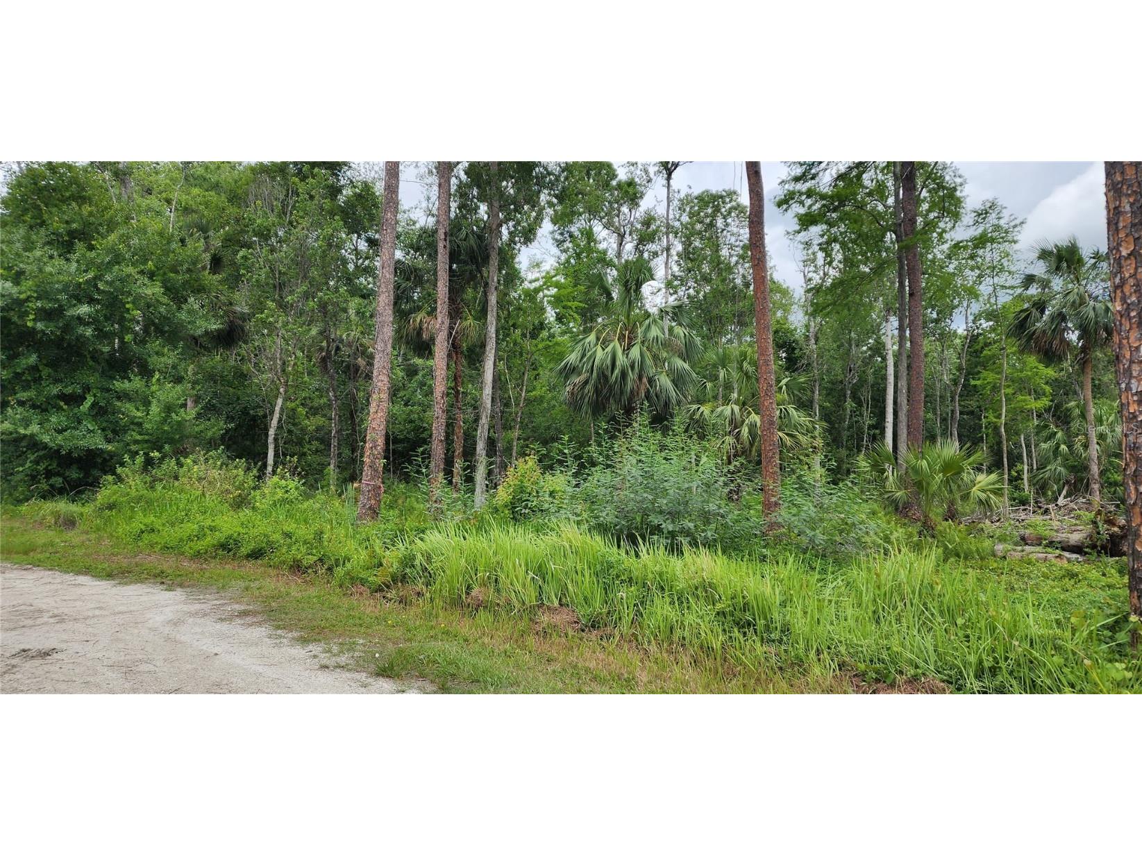 Shelley Trail Kissimmee FL 34747 P4925925 image1