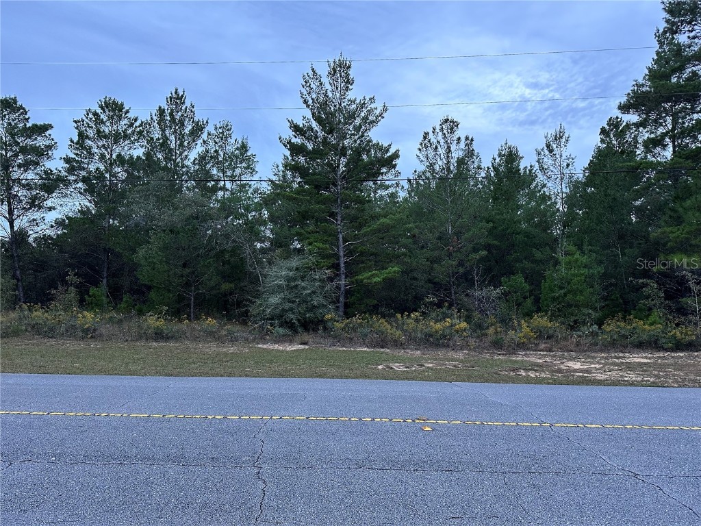 Shenandoah Boulevard Chipley FL 32428 OM691419 image1