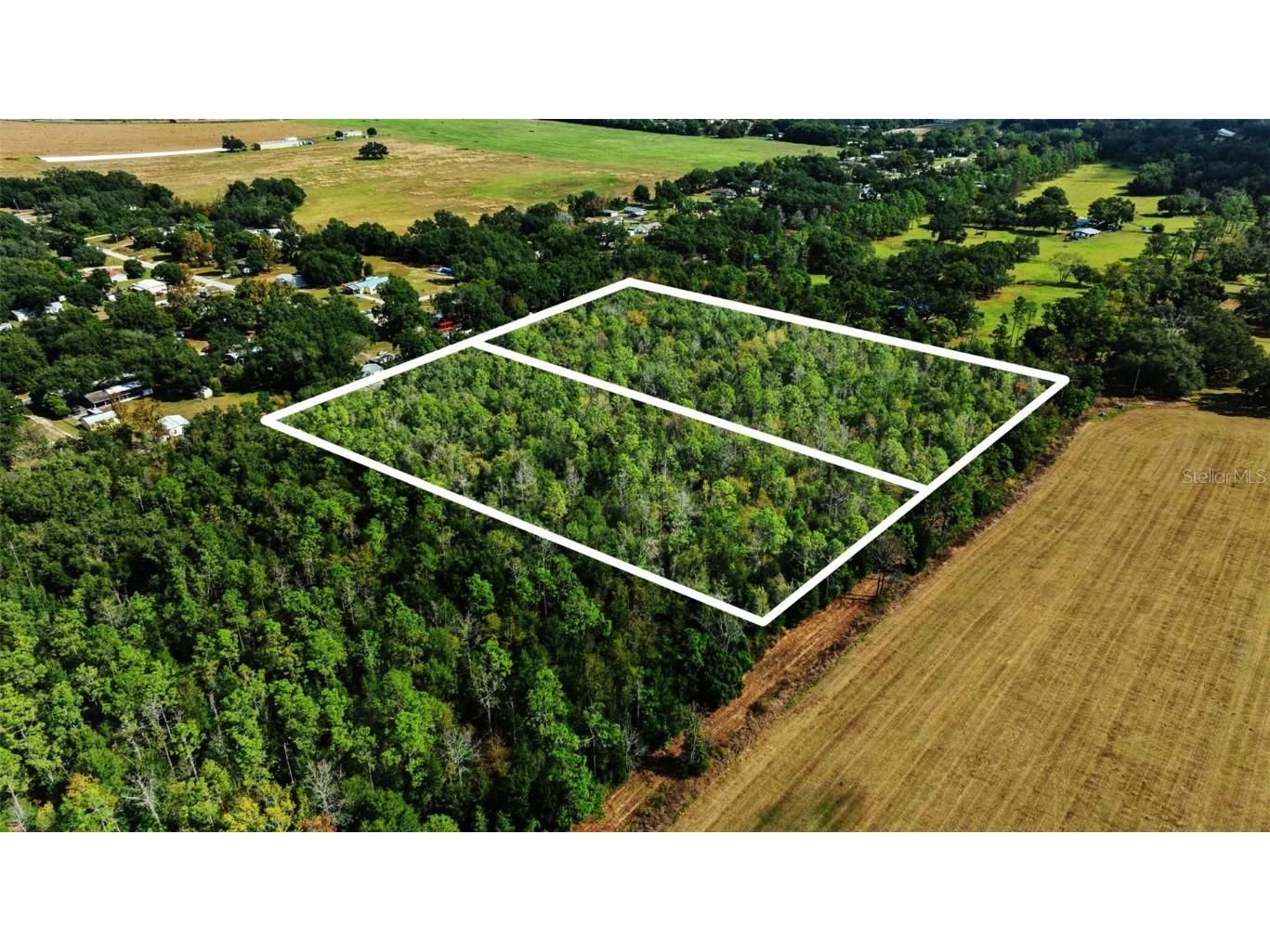 Shenna Lane Zephyrhills FL 33540 TB8446178 image10