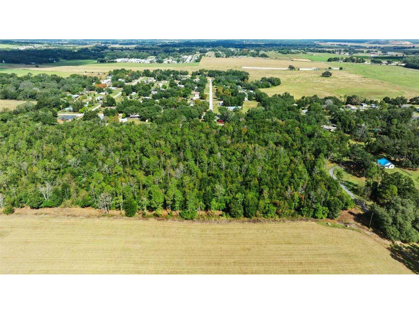 Shenna Lane Zephyrhills FL 33540 TB8446178 image11