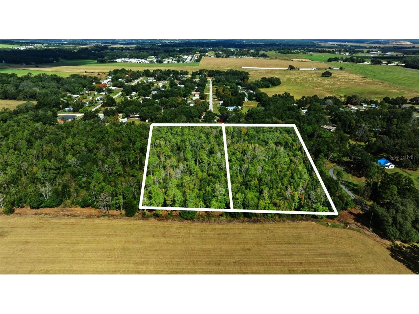 Shenna Lane Zephyrhills FL 33540 TB8446178 image12