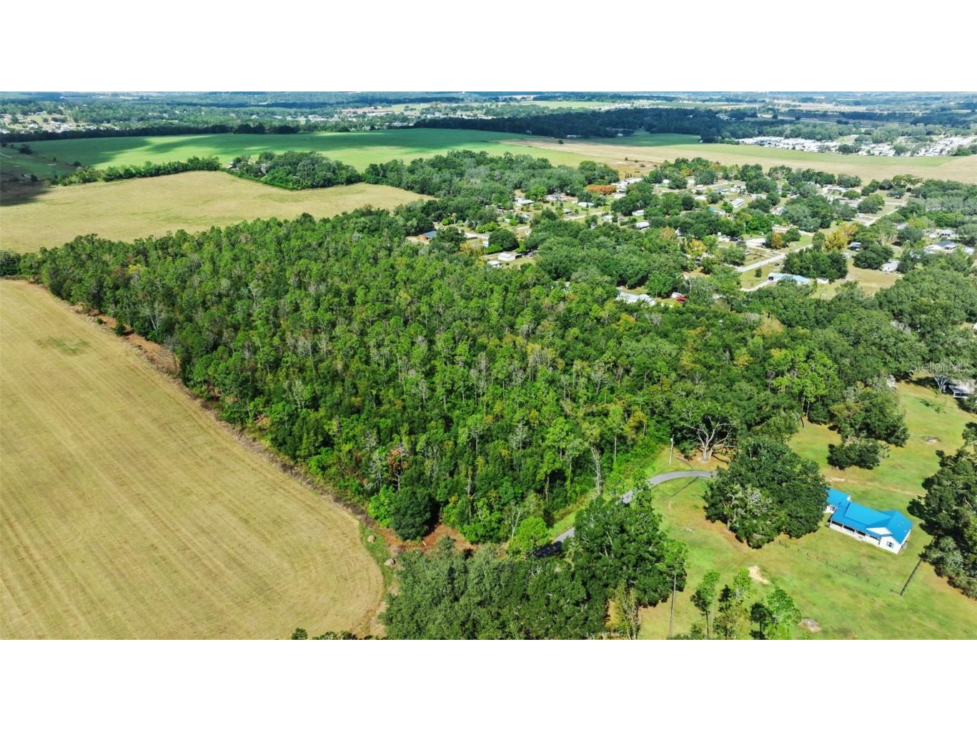 Shenna Lane Zephyrhills FL 33540 TB8446178 image13