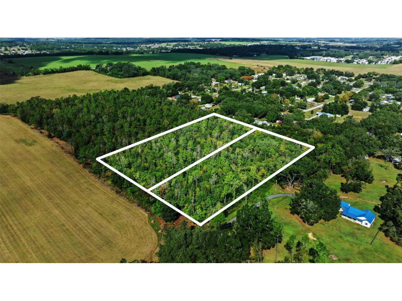 Shenna Lane Zephyrhills FL 33540 TB8446178 image14