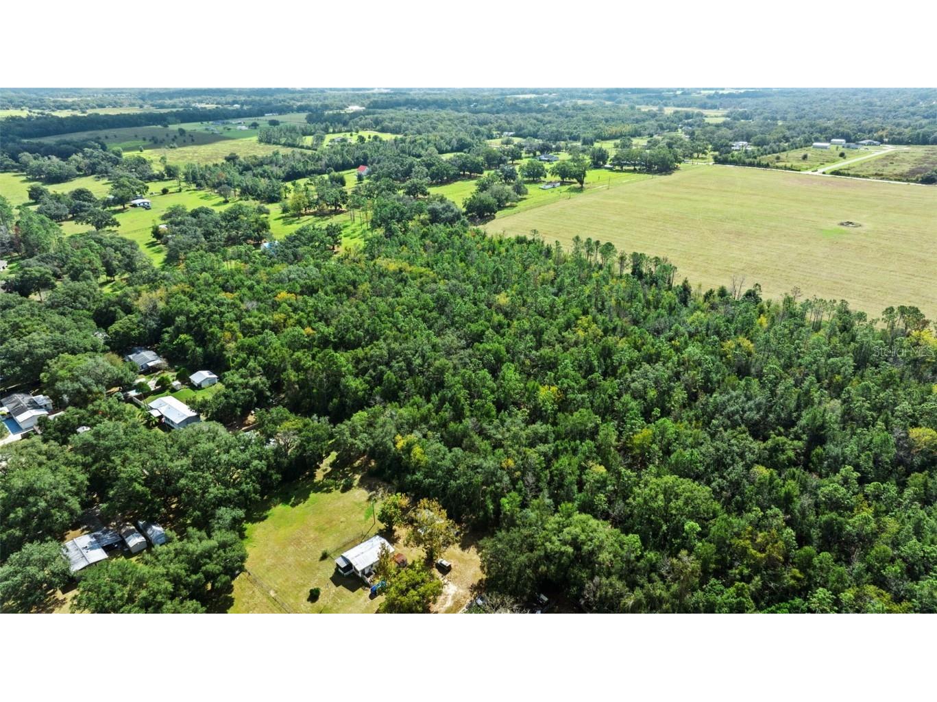 Shenna Lane Zephyrhills FL 33540 TB8446178 image15