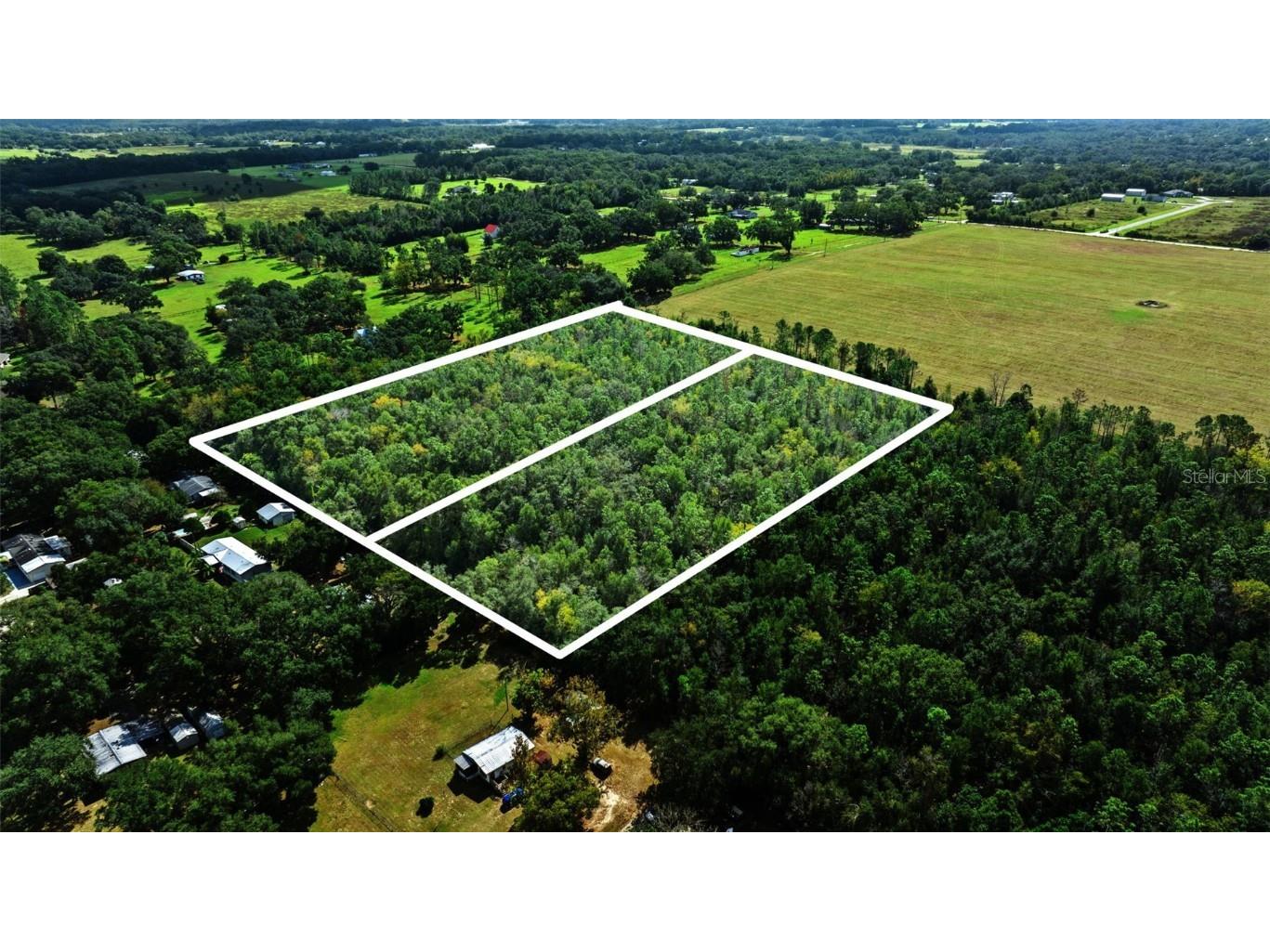 Shenna Lane Zephyrhills FL 33540 TB8446178 image16