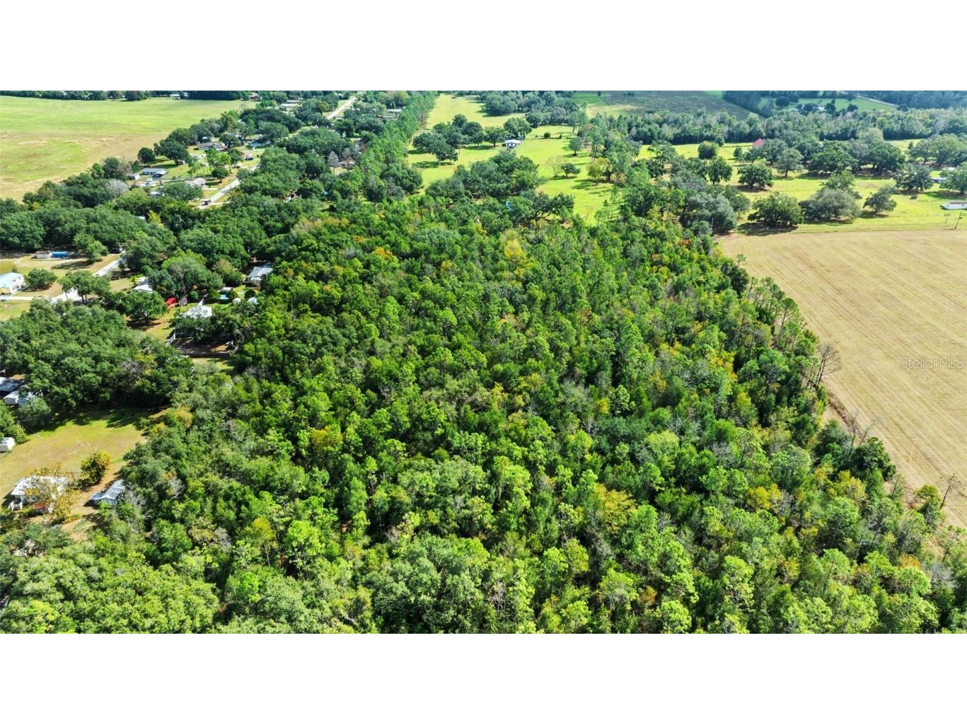 Shenna Lane Zephyrhills FL 33540 TB8446178 image3