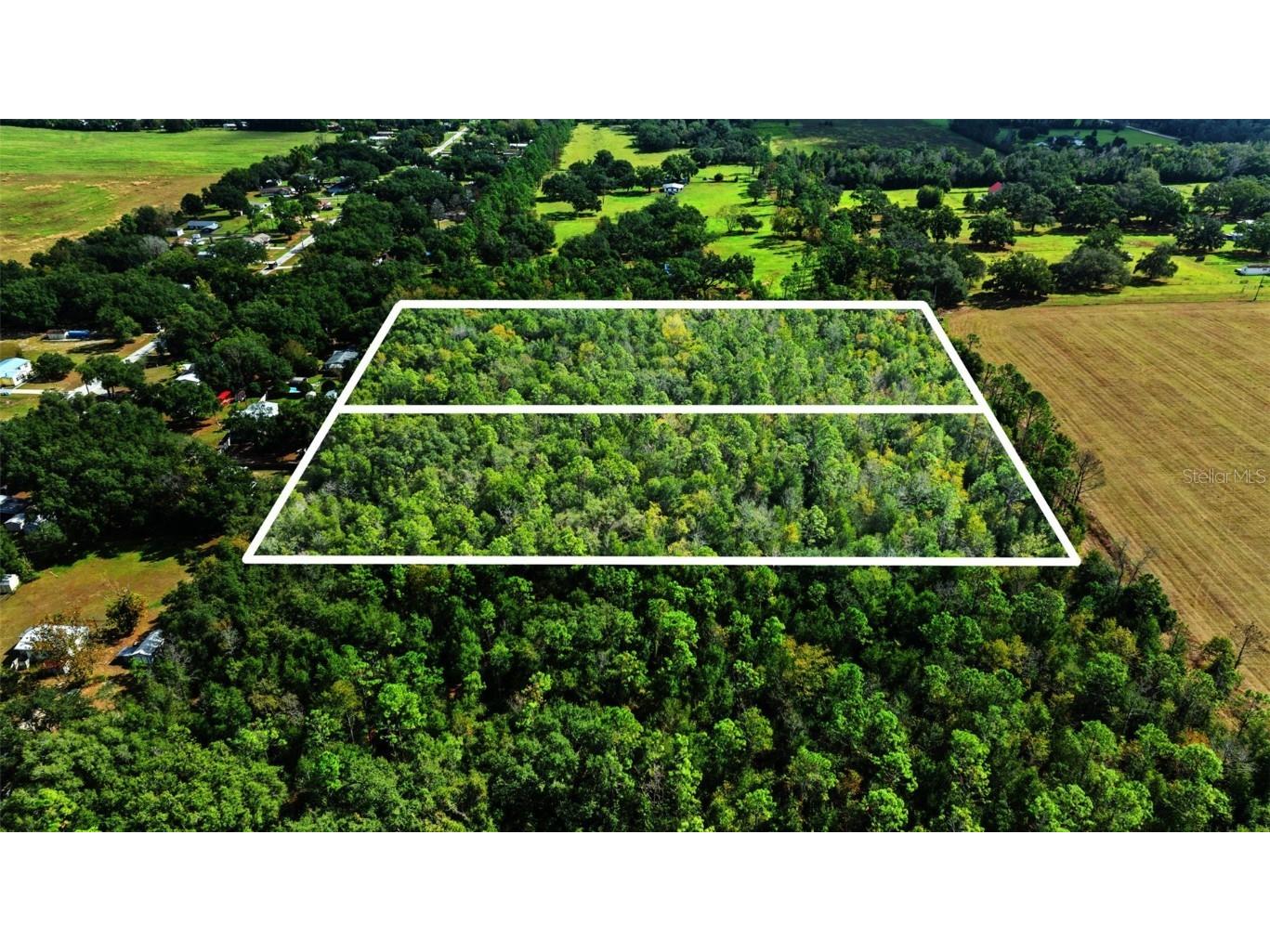 Shenna Lane Zephyrhills FL 33540 TB8446178 image4