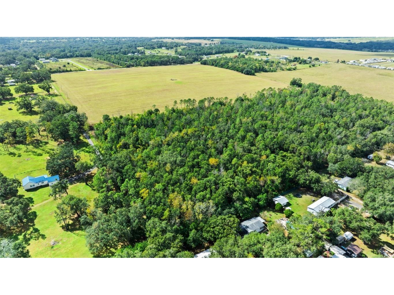 Shenna Lane Zephyrhills FL 33540 TB8446178 image5