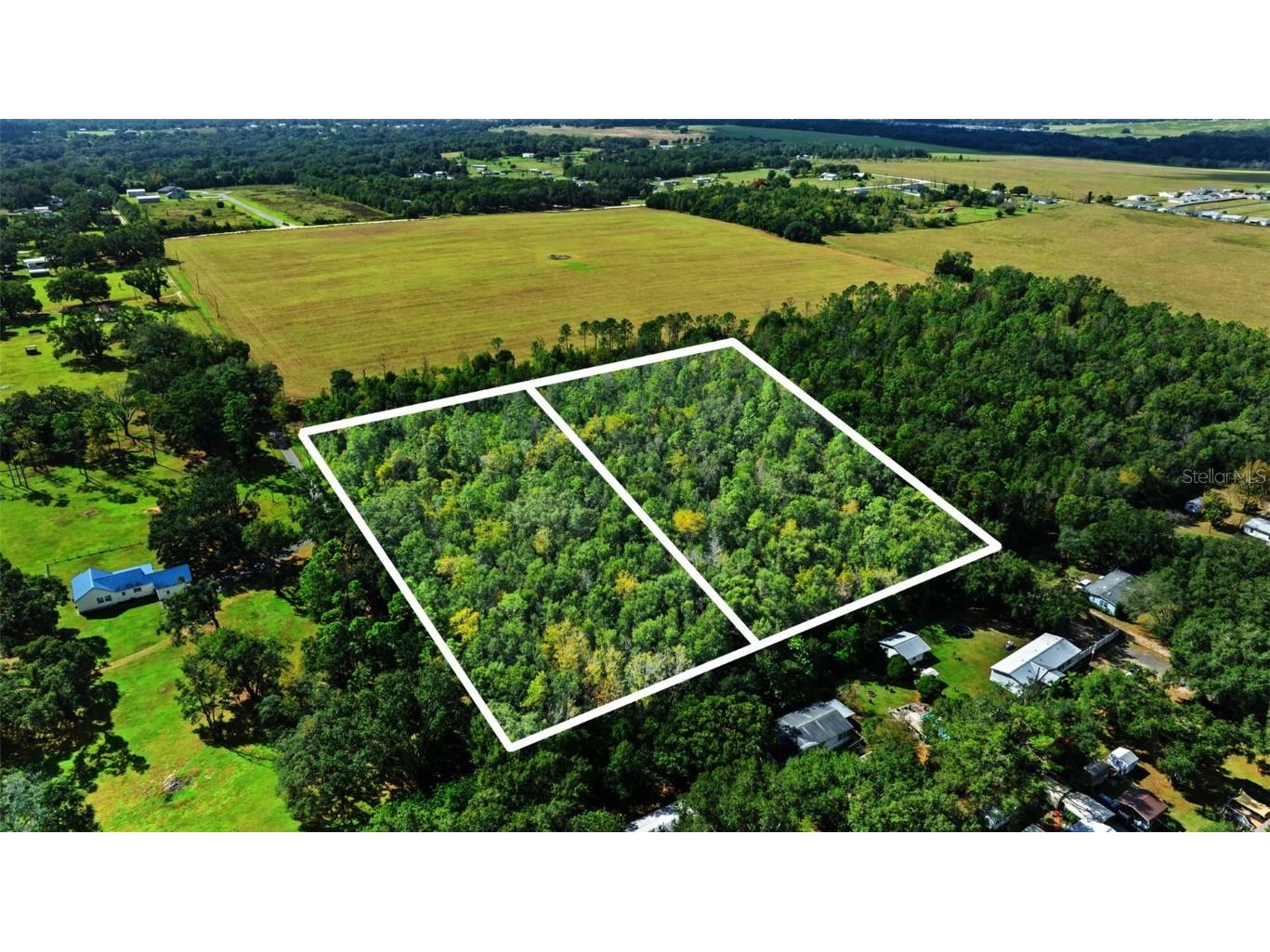 Shenna Lane Zephyrhills FL 33540 TB8446178 image6