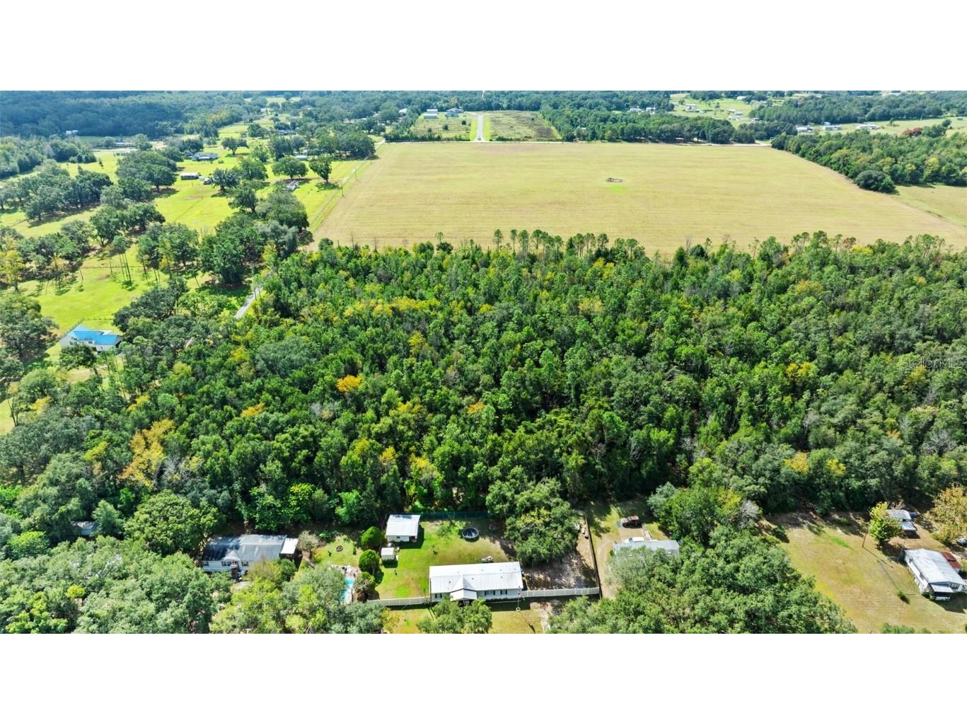 Shenna Lane Zephyrhills FL 33540 TB8446178 image7