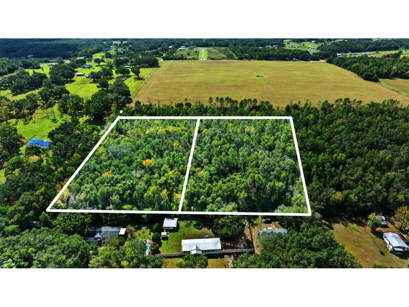 Shenna Lane Zephyrhills FL 33540 TB8446178 image8