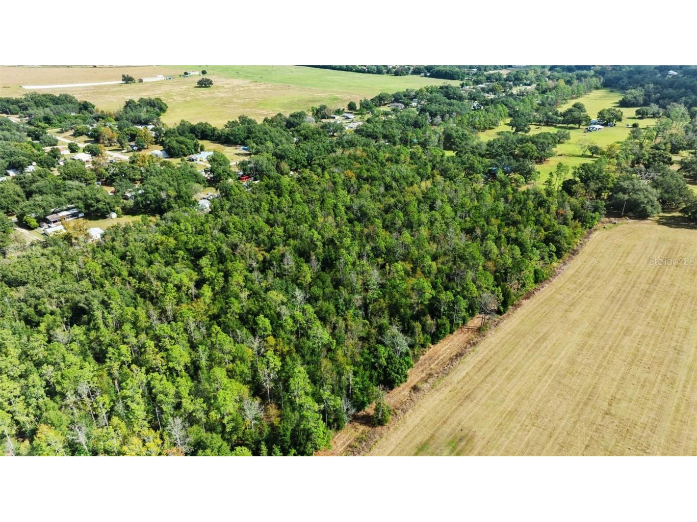 Shenna Lane Zephyrhills FL 33540 TB8446178 image9