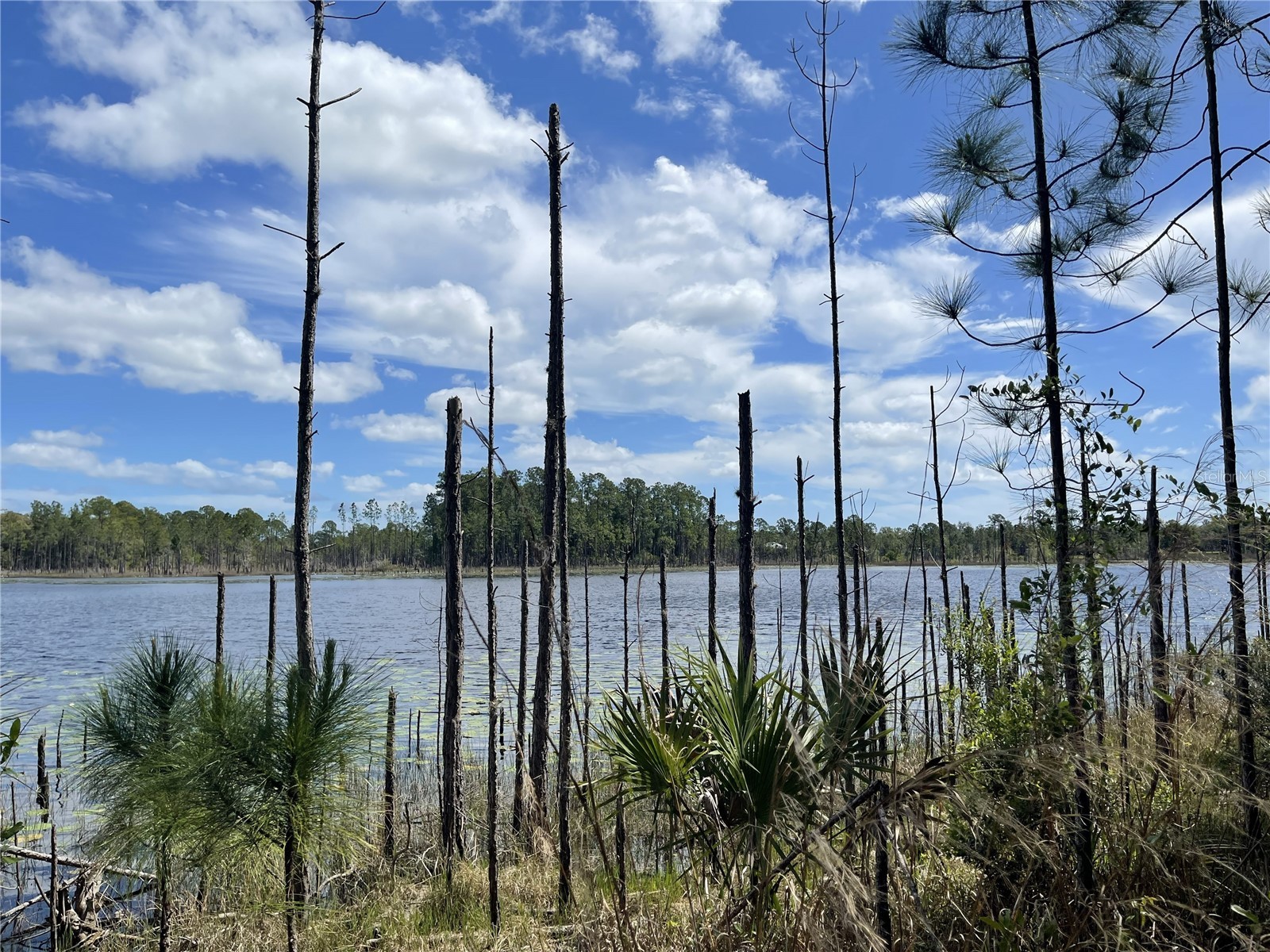 Sheryl Dr Deltona FL 32738 - LAKE DOYLE V4948277 image1