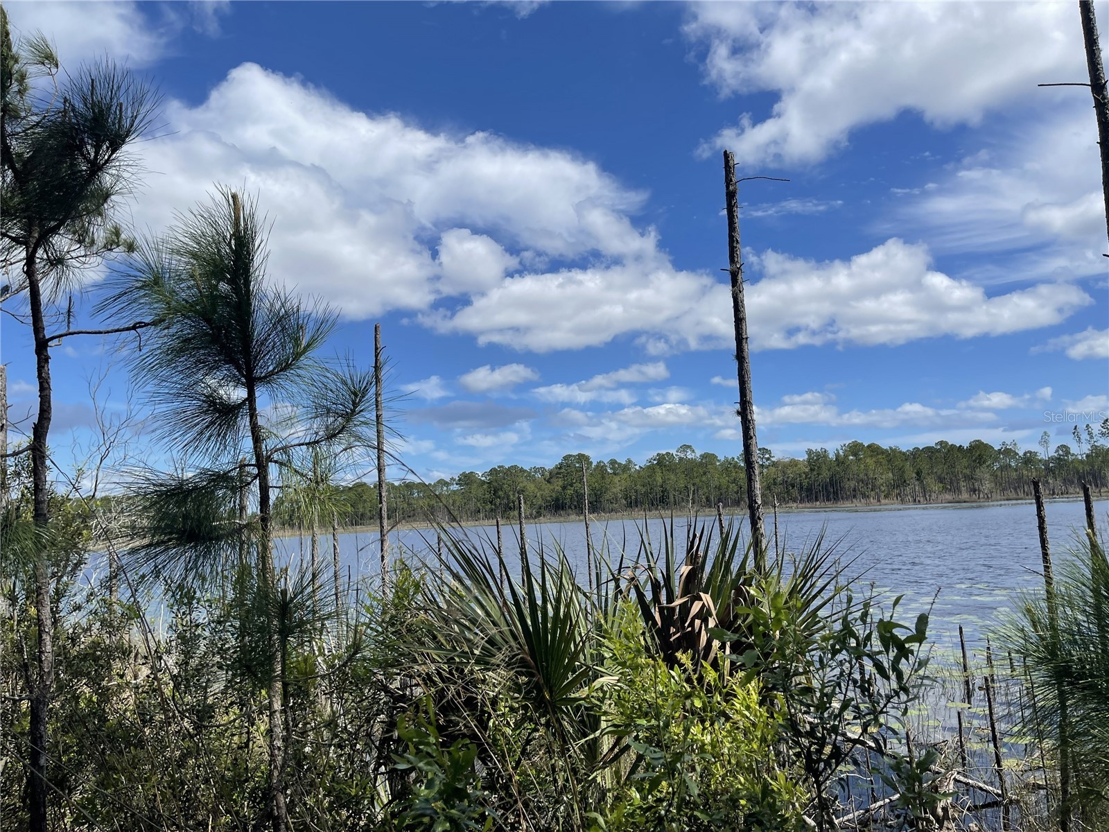 Sheryl Dr Deltona FL 32738 - LAKE DOYLE V4948277 image2