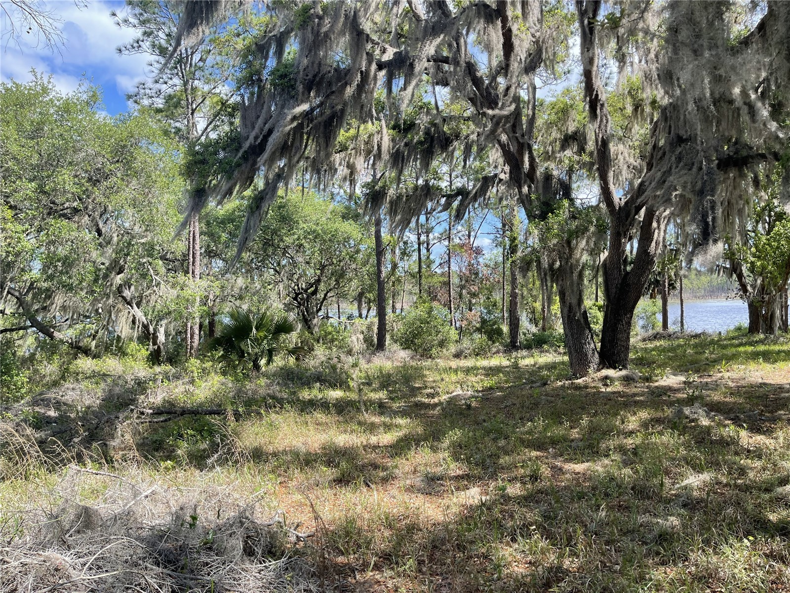 Sheryl Dr Deltona FL 32738 - LAKE DOYLE V4948277 image3