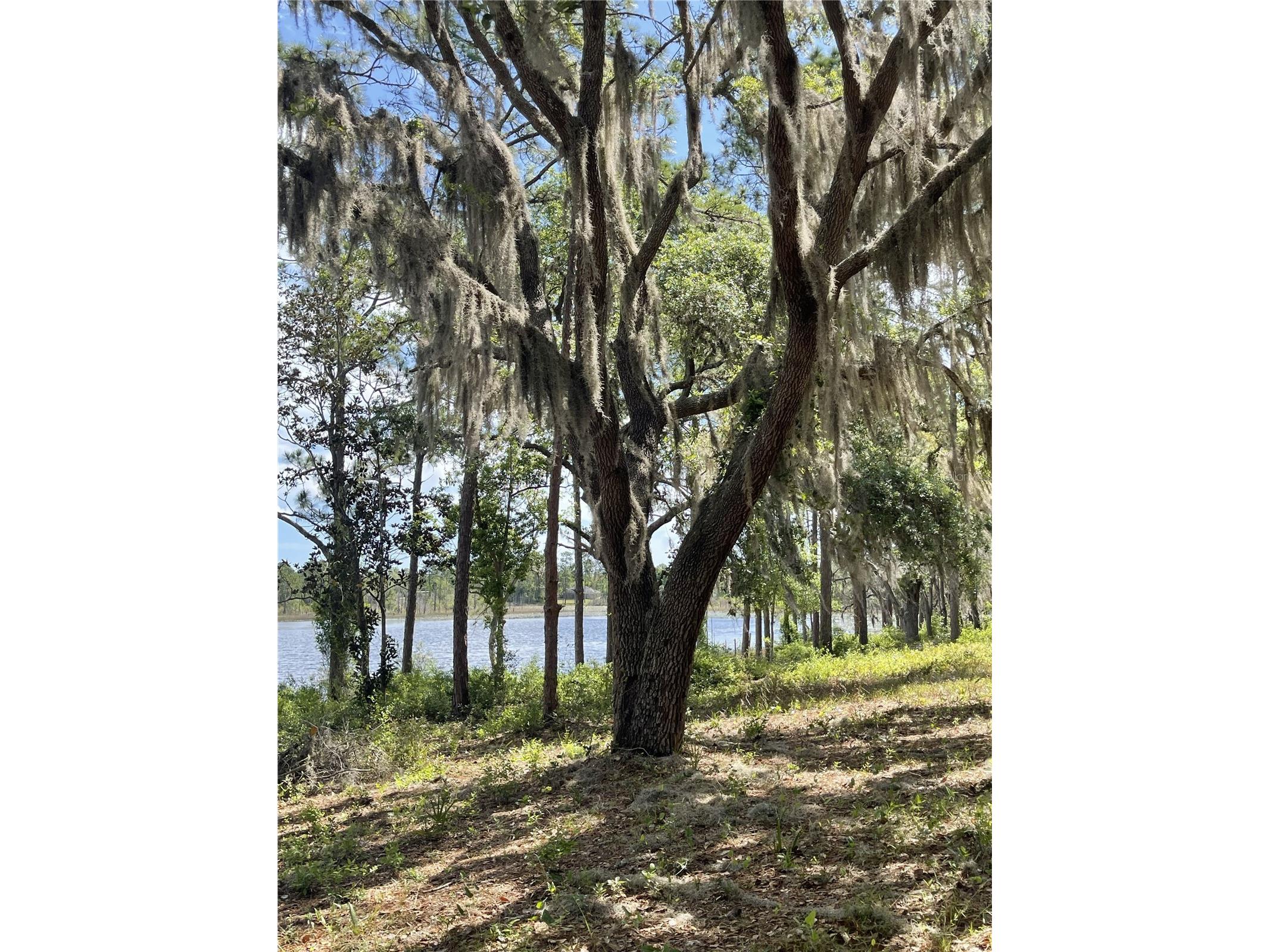 Sheryl Dr Deltona FL 32738 - LAKE DOYLE V4948277 image4