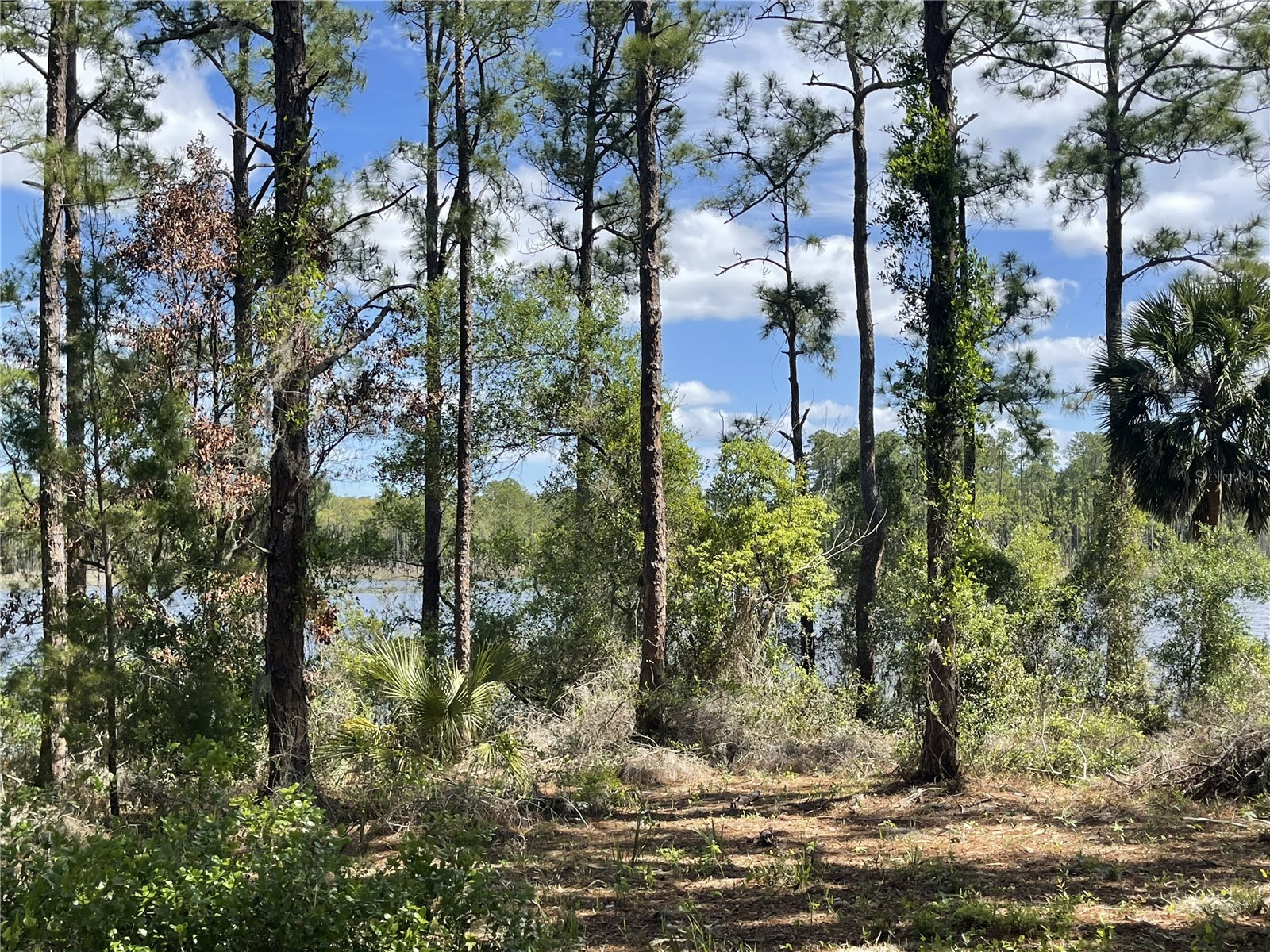 Sheryl Dr Deltona FL 32738 - LAKE DOYLE V4948277 image5