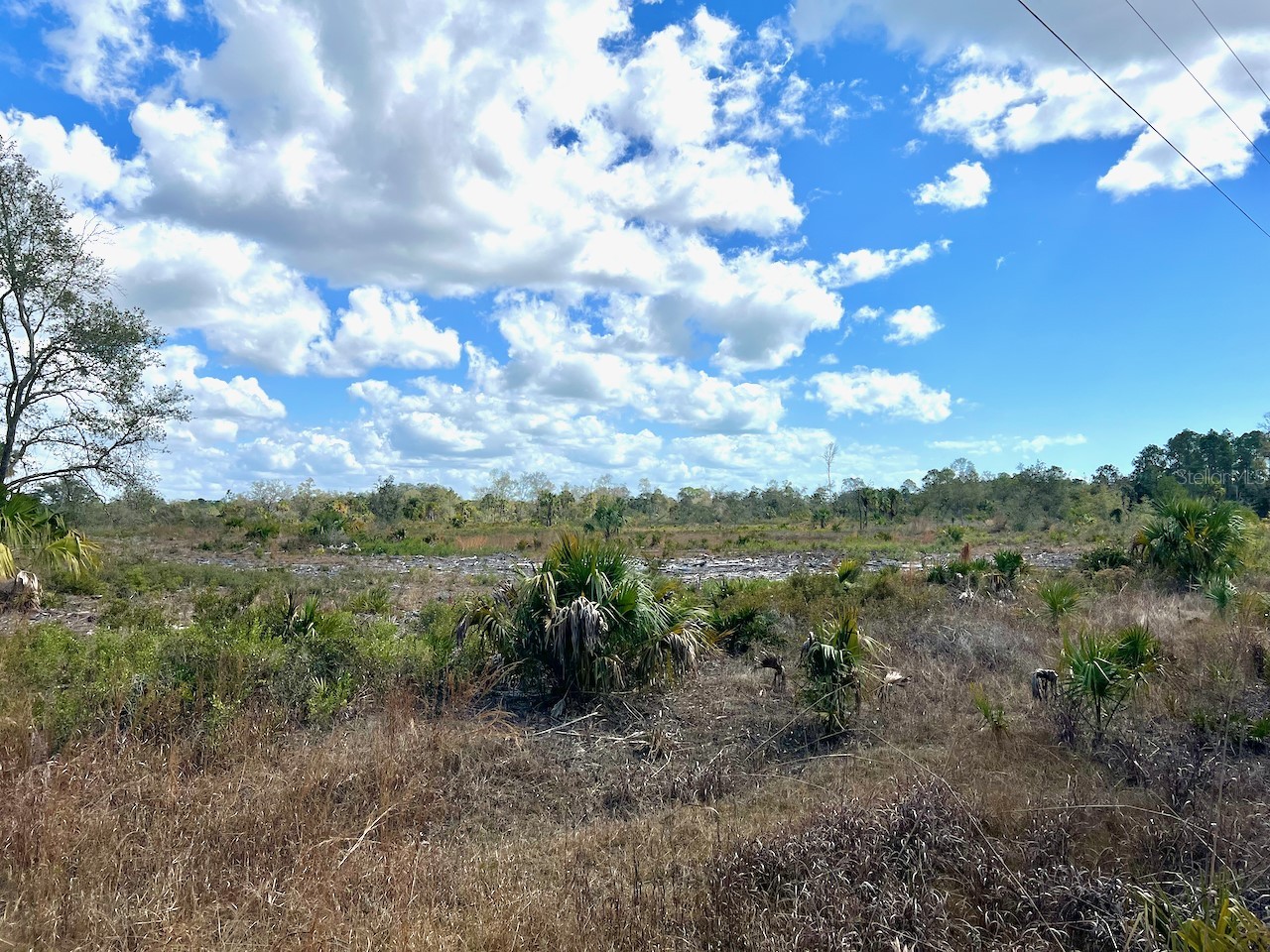 Shiloh Road Cedar Key FL 32625 OM720272 image11