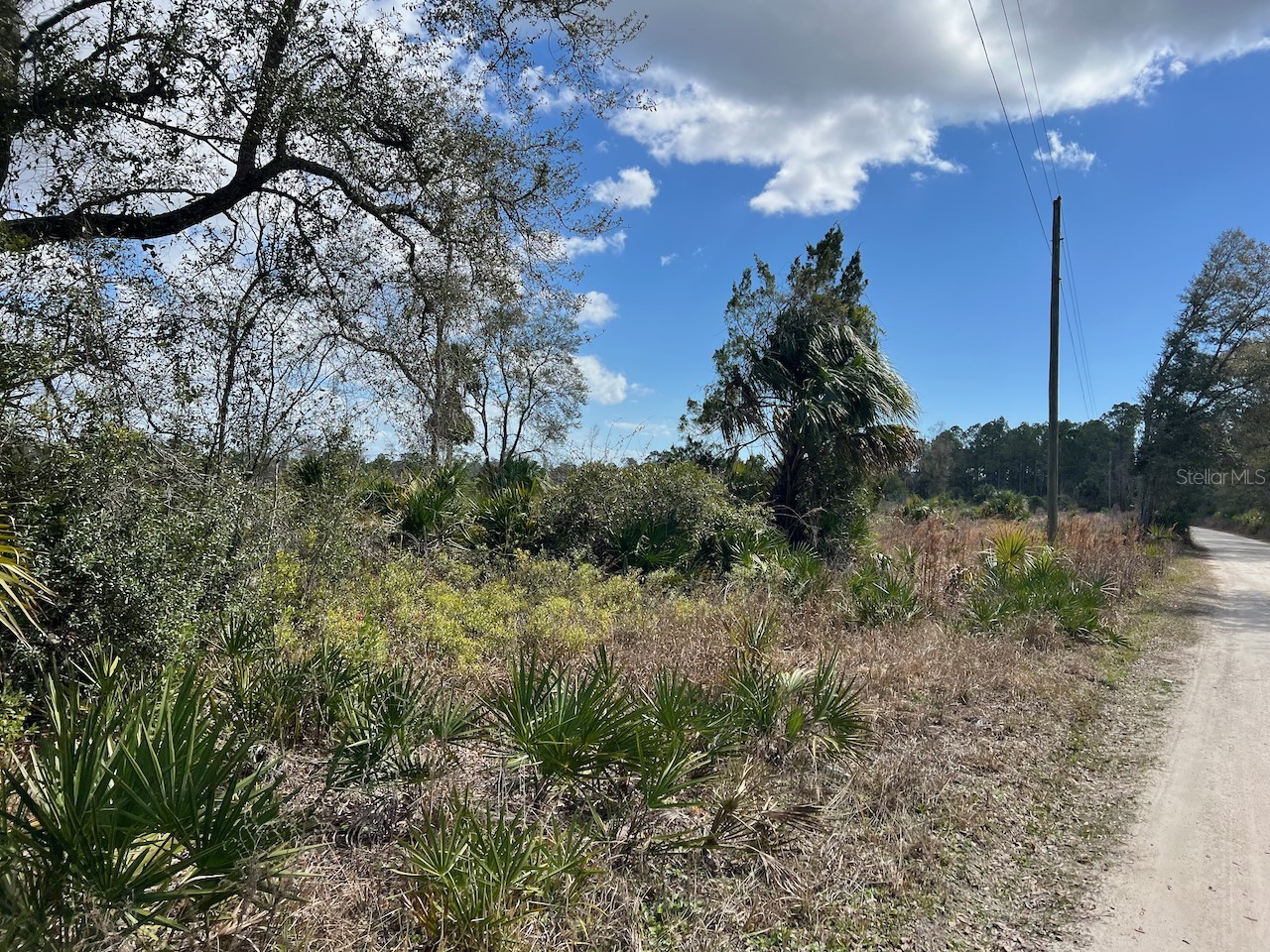 Shiloh Road Cedar Key FL 32625 OM720272 image12