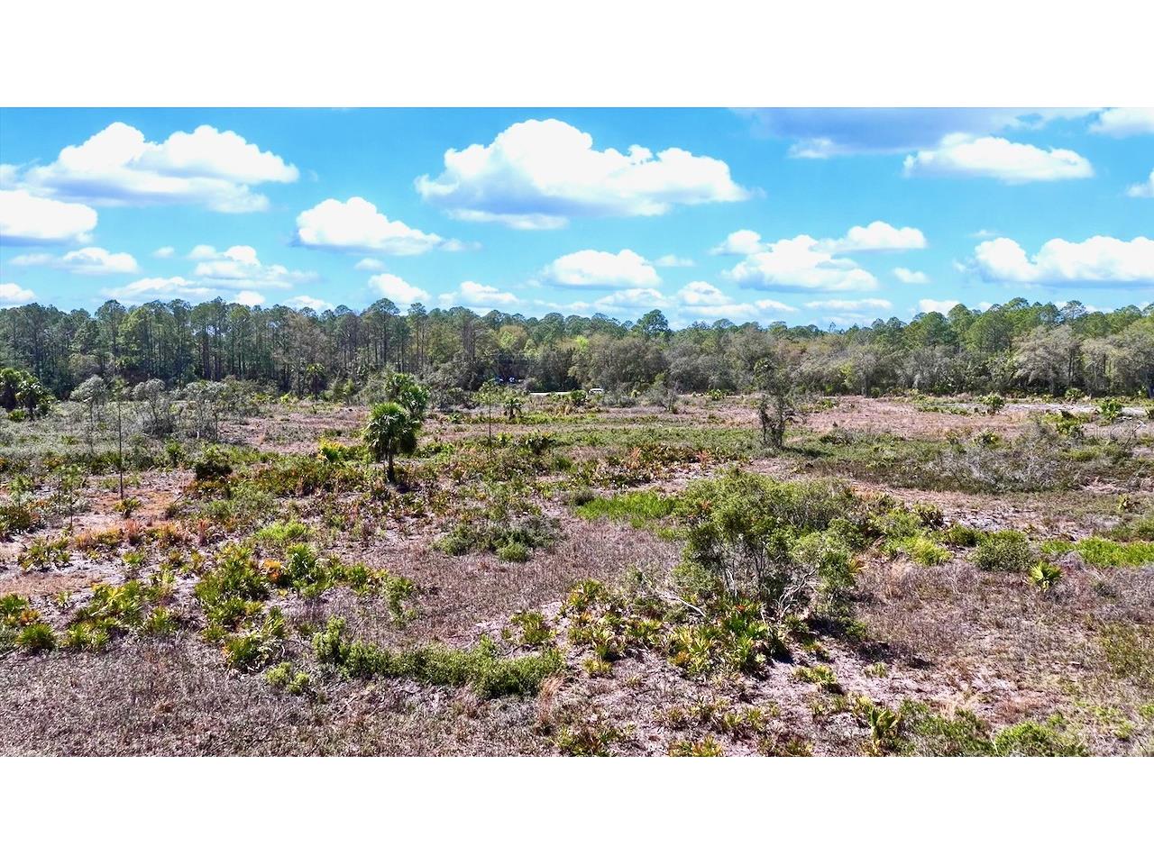 Shiloh Road Cedar Key FL 32625 OM720272 image13